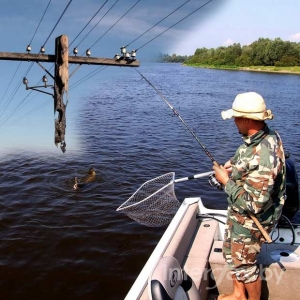 Ловля рыбы
или отдых в охранной зоне линий электропередачи опасны для жизни