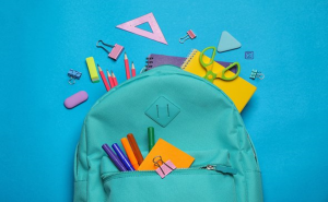 Аб парадку і ўмовах выплаты аднаразовай матэрыяльнай дапамогі шматдзетным сем'ям для падрыхтоўкі да 2024-2025 навучальнага года