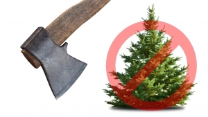 За самовольную вырубку деревьев предусмотрена ответственность