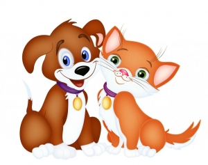 В службу «Одно окно»
за регистрацией собак, кошек с выдачей регистрационного удостоверения и жетона