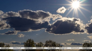 Забароны і абмежаванні на наведванне лясоў захоўваюцца ва ўсіх раёнах Беларусі