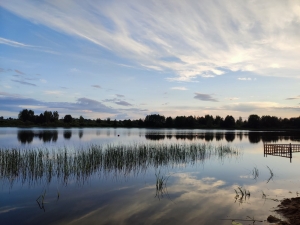 Правила поведения в водоохранных зонах и лесах