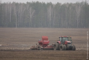 В ходе весенней посевной кампании ветковским аграриям предстоит засеять яровыми культурами 4360 гектаров земель