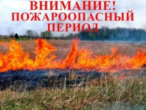 Пажарная бяспека ў Гомельскай вобласці ў 2024 годзе