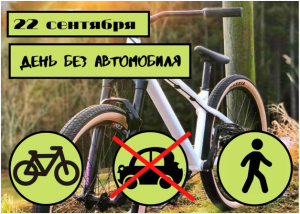 22 сентября на Красной площади в г. Ветка пройдет
экологическая акция, приуроченная к Всемирному дню без
автомобиля «День без автомобиля»