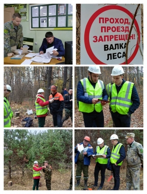 В рамках реализации мероприятий, приуроченных к Году безопасного труда в лесном хозяйстве и деревообработке в Республике Беларусь, мобильной группой райисполкома продолжена работа по обследованию лесохозяйственных и лесоперерабатывающих организаций, распо