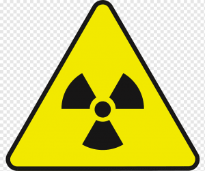 Собирать грибы в лесных массивах, расположенных на территории радиоактивного загрязнения ОПАСНО и НЕЗАКОННО