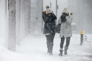 Ветка. Зима! Холода!