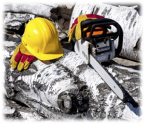 2022 год объявлен Годом безопасного труда в лесном хозяйстве и деревообработке