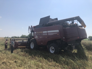 Ветка. Рэйды па месцах уборкі ўраджаю