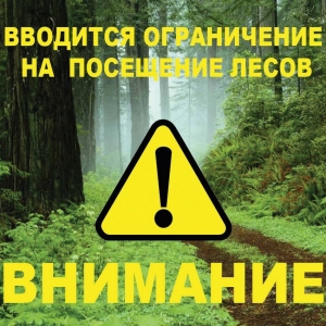 Запрет на посещение леса
