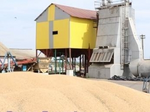 Прокуратура проверила зернотоки