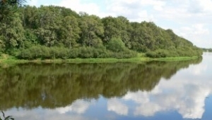 Правілы паводзін у водаахоўных зонах і лясах