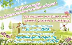 ПОЛОЖЕНИЕ о порядке проведения районного конкурса «Лучшая молодая семья
 Ветковщины 2023 года»