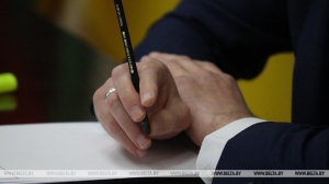 Темп вовлечения объектов недвижимости в хозоборот нарастили ОАО в Гомельской области