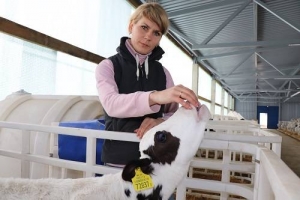 Опыт и знания — надёжные спутники в работе