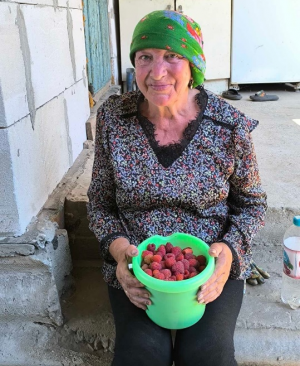 Урожай ягод и фруктов у получателей социальных услуг удался на славу.