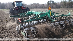 Раннія яравыя ў Беларусі пасеяны на больш як 43 тыс. га