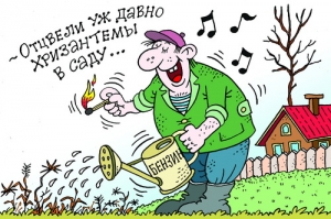 Осенние палы