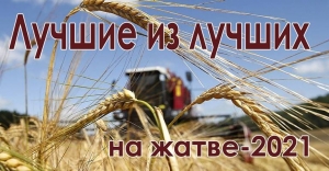 Сведения о передовиках на уборке зерновых по информации управления сельского хозяйства и продовольствия Ветковского райисполкома по состоянию на 12 августа