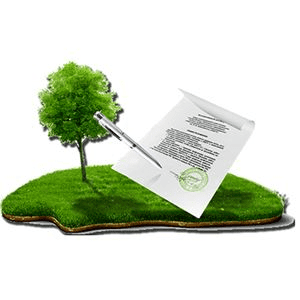 У Гомельскай вобласці правялі суцэльную інвентарызацыю зямель населеных пунктаў. З якімі пытаннямі звяртаюцца грамадзяне?