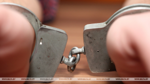 В Гомеле задержали причастного к мошенничеству в отношении престарелых