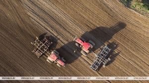 В Гомельской области в структуре зерновых более 70% составят озимые культуры