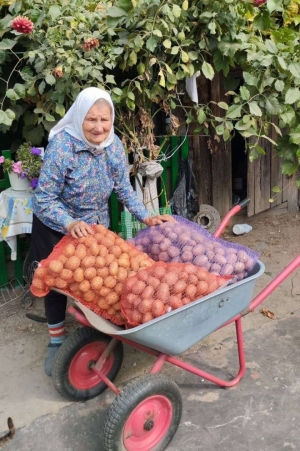 Акция «Забота» - оказание помощи в доставке сельскохозяйственной продукции.