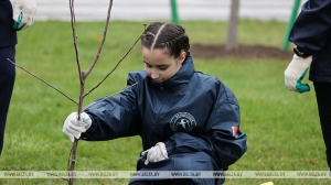 "Аллеи поколений" к юбилею Всесоюзного
комсомола заложат в регионах Беларуси