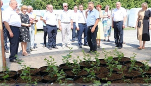 В Ветке прошёл обучающий семинар с председателями Советов депутатов базового уровня Гомельской области