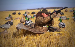 Об открытии весенней охоты.