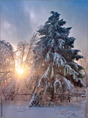 Усилен контроль