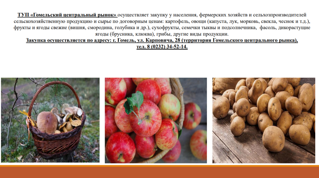 Снимок экрана 2026-09-16 125832.png